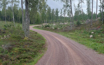 Dackefejden: 60 kör om sista SM/RM-poäng