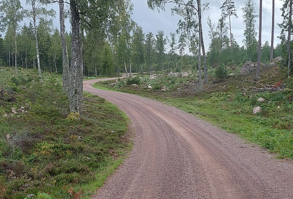 Dackefejden: 60 kör om sista SM/RM-poäng